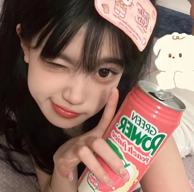 大汗征西