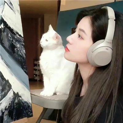 7把枪